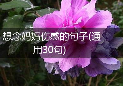 想念妈妈伤感的句子(通用30句)