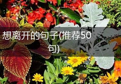 想离开的句子(推荐50句)