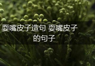 耍嘴皮子造句 耍嘴皮子的句子