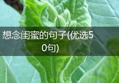 想念闺蜜的句子(优选50句)