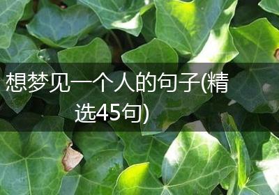 想梦见一个人的句子(精选45句)