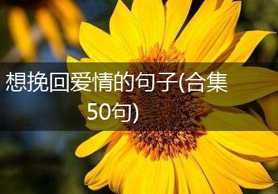 想挽回爱情的句子(合集50句)