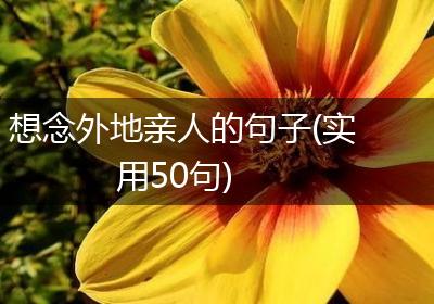 想念外地亲人的句子(实用50句)
