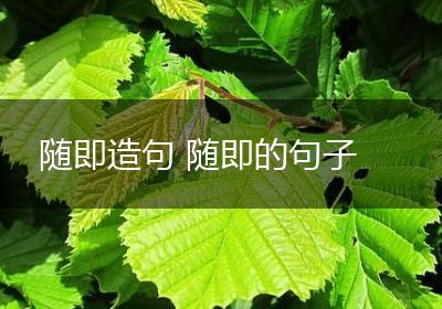 随即造句 随即的句子