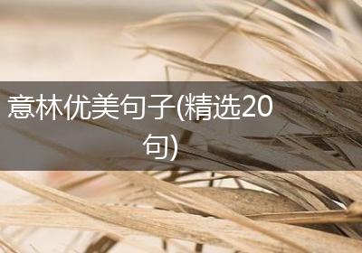 意林优美句子(精选20句)