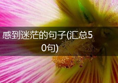 感到迷茫的句子(汇总50句)