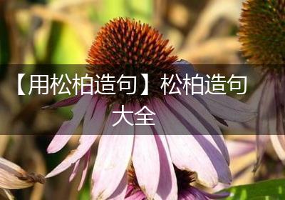 【用松柏造句】松柏造句大全