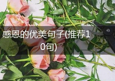感恩的优美句子(推荐10句)