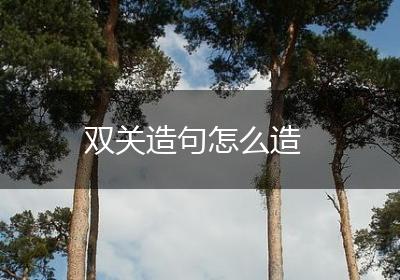 双关造句怎么造