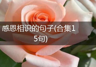 感恩相识的句子(合集15句)