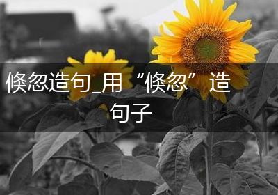 倏忽造句_用“倏忽”造句子