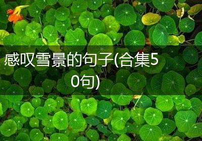 感叹雪景的句子(合集50句)