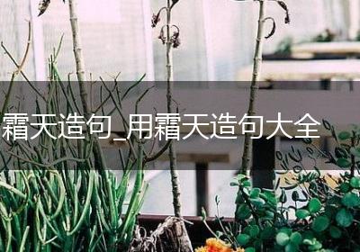 霜天造句_用霜天造句大全