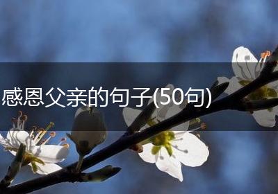 感恩父亲的句子(50句)