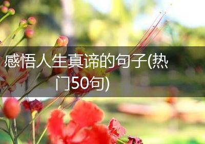 感悟人生真谛的句子(热门50句)
