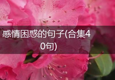 感情困惑的句子(合集40句)