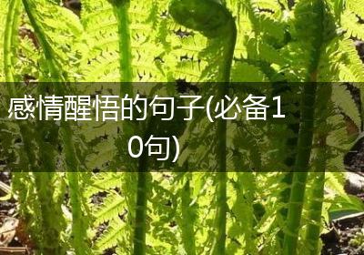 感情醒悟的句子(必备10句)