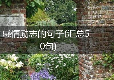 感情励志的句子(汇总50句)