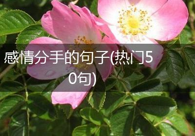 感情分手的句子(热门50句)