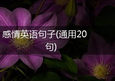 感情英语句子(通用20句)