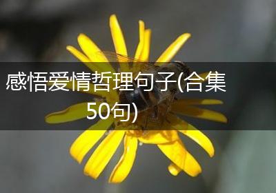感悟爱情哲理句子(合集50句)