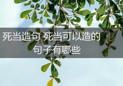 死当造句 死当可以造的句子有哪些