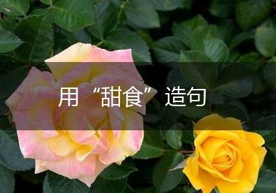 用“甜食”造句