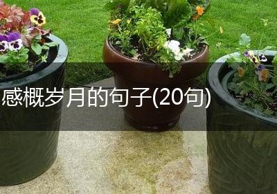 感概岁月的句子(20句)