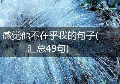 感觉他不在乎我的句子(汇总49句)