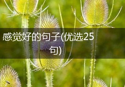感觉好的句子(优选25句)