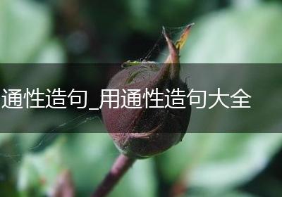 通性造句_用通性造句大全