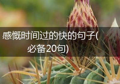 感慨时间过的快的句子(必备20句)
