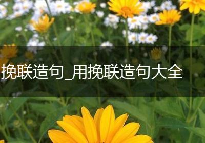 挽联造句_用挽联造句大全