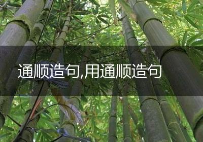 通顺造句,用通顺造句