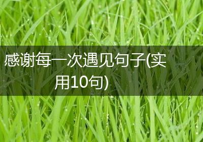 感谢每一次遇见句子(实用10句)