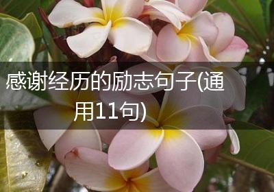 感谢经历的励志句子(通用11句)