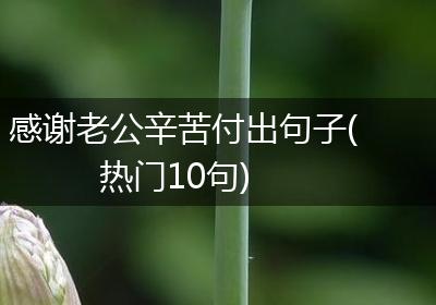 感谢老公辛苦付出句子(热门10句)