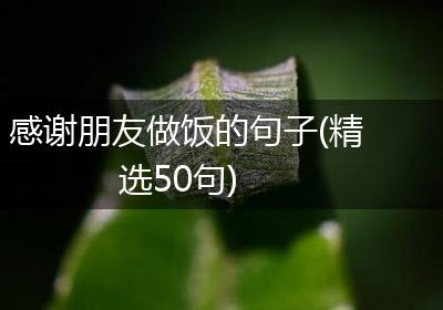 感谢朋友做饭的句子(精选50句)