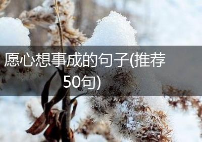 愿心想事成的句子(推荐50句)