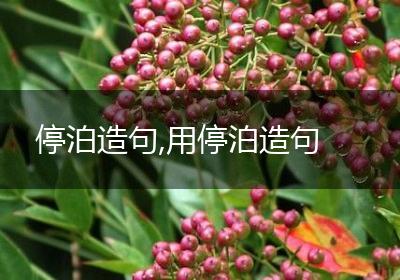 停泊造句,用停泊造句