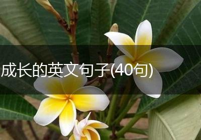 成长的英文句子(40句)