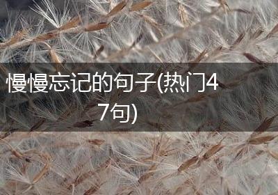 慢慢忘记的句子(热门47句)
