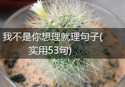 我不是你想理就理句子(实用53句)