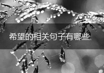 希望的相关句子有哪些