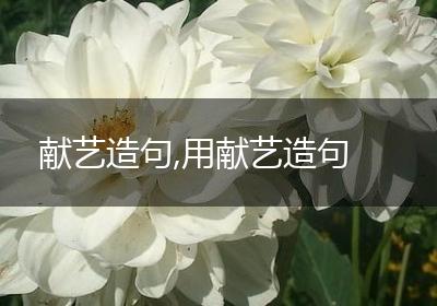 献艺造句,用献艺造句