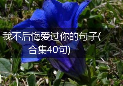 我不后悔爱过你的句子(合集40句)