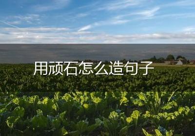 用顽石怎么造句子