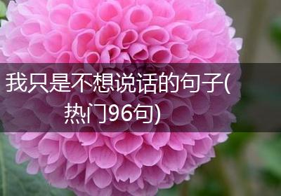 我只是不想说话的句子(热门96句)