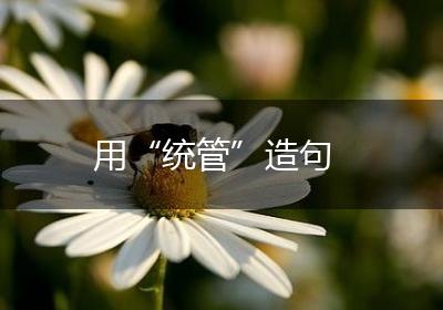 用“统管”造句