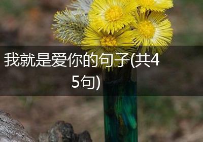 我就是爱你的句子(共45句)